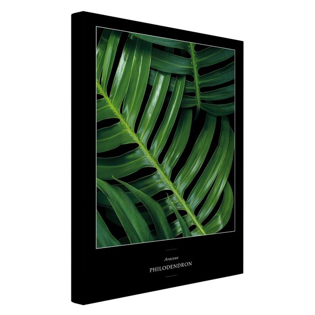 Contemporary art prints Tropical Leaves Philodendron