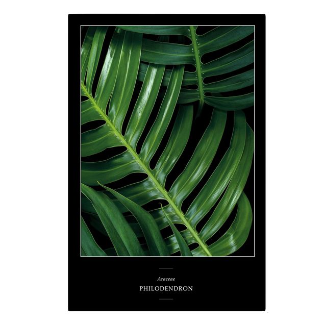 Green canvas wall art Tropical Leaves Philodendron