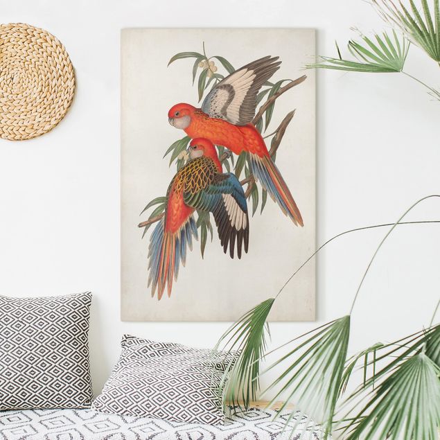 Bird canvas wall art Tropical Parrot I
