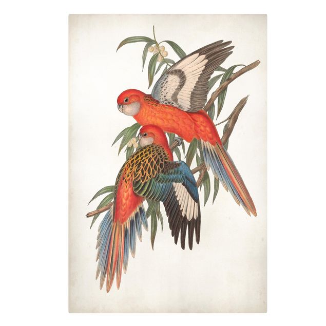 Prints floral Tropical Parrot I
