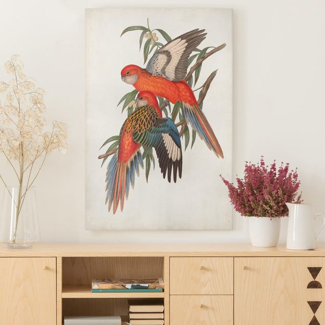 Kitchen Tropical Parrot I