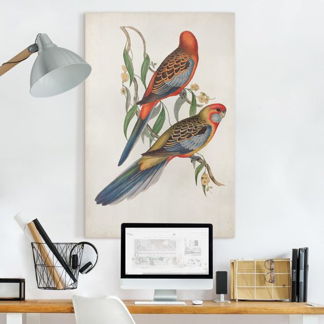 Bird canvas wall art Tropical Parrot II