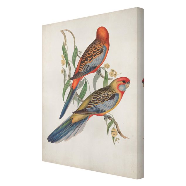 Prints Tropical Parrot II