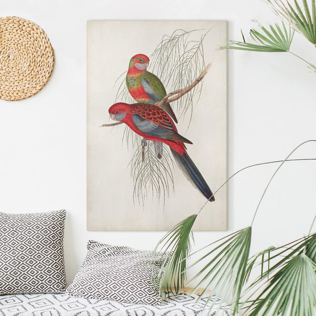 Canvas birds Tropical Parrot III