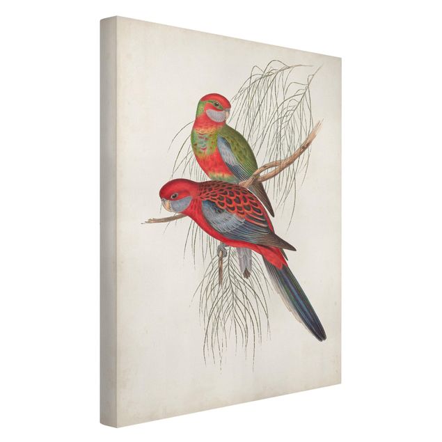 Prints animals Tropical Parrot III