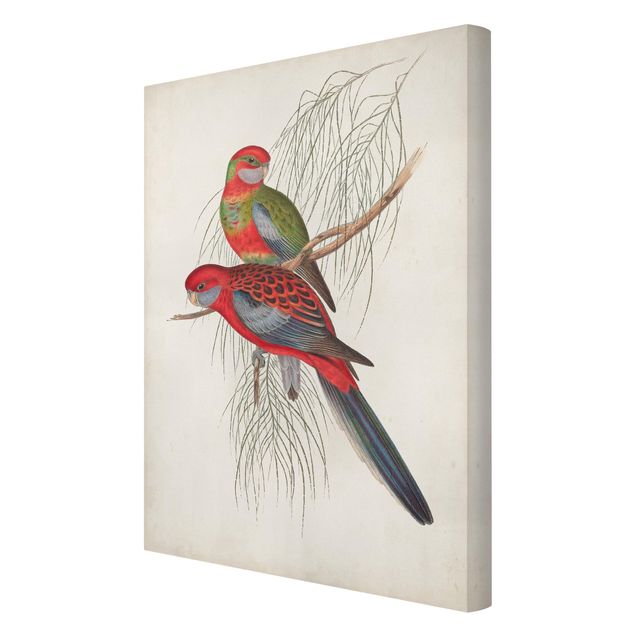 Prints Tropical Parrot III