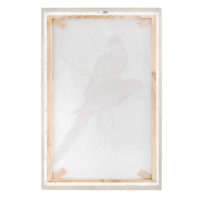 Canvas prints Tropical Parrot III
