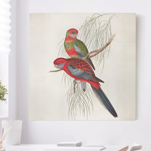 Canvas birds Tropical Parrot III