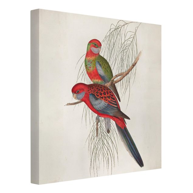 Prints animals Tropical Parrot III
