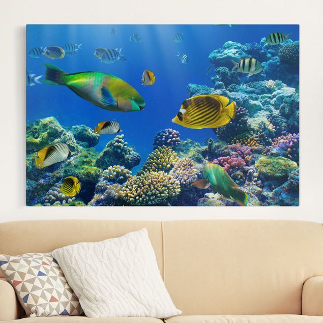 Canvas prints fishes Underwater Lights