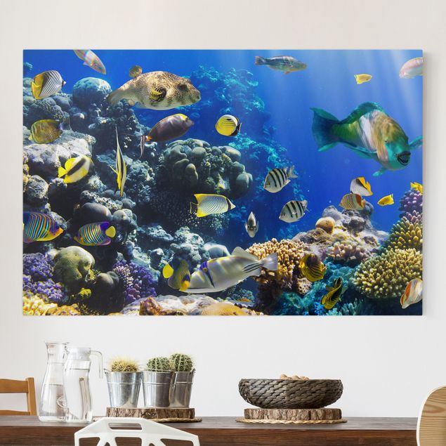 Canvas prints fishes Underwater Reef