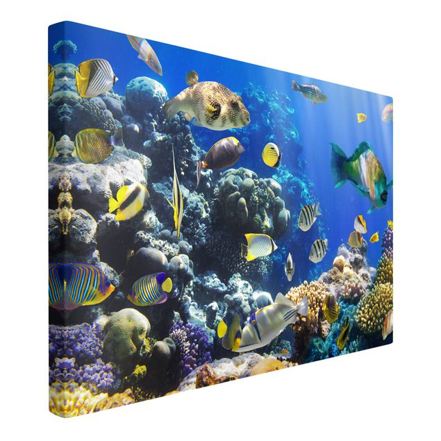 Landscape canvas prints Underwater Reef