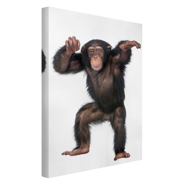 Animal canvas Jolly Monkey