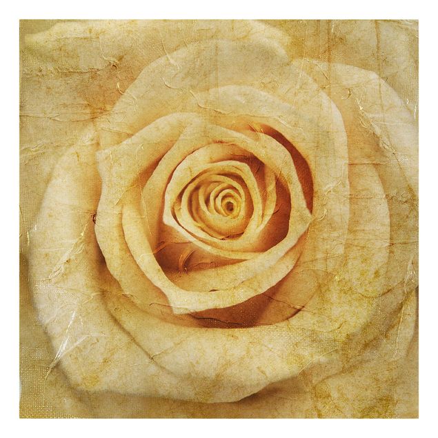 Prints flower Vintage Rose