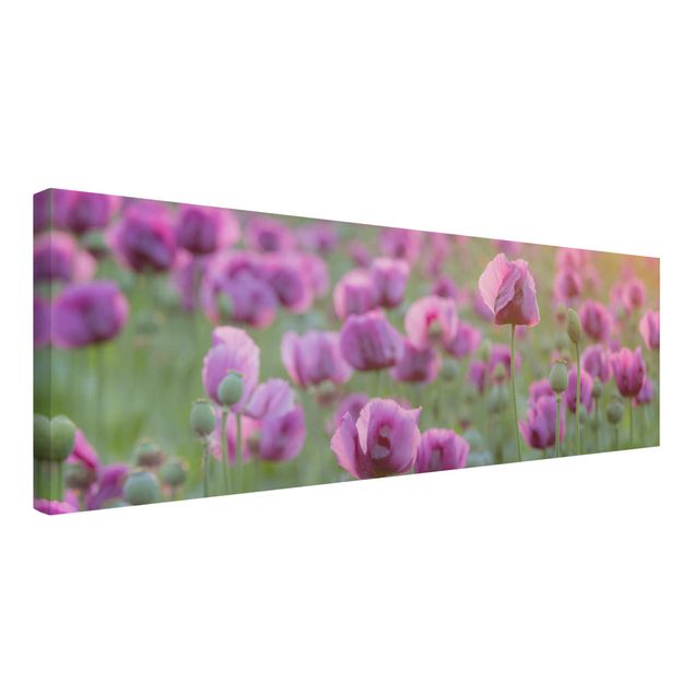 Flower print Purple Poppy Flower Meadow In Spring