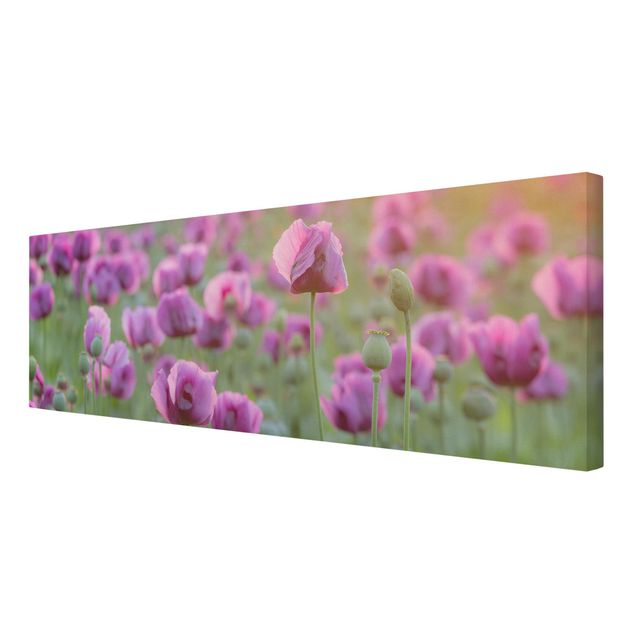 Modern art prints Purple Poppy Flower Meadow In Spring