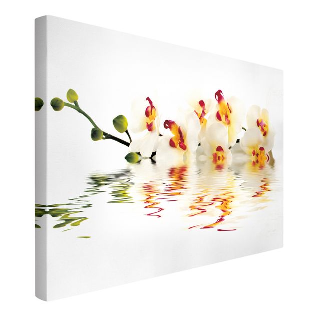 Orchid canvas wall art Vivid Orchid Waters