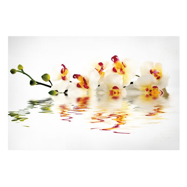 Prints floral Vivid Orchid Waters