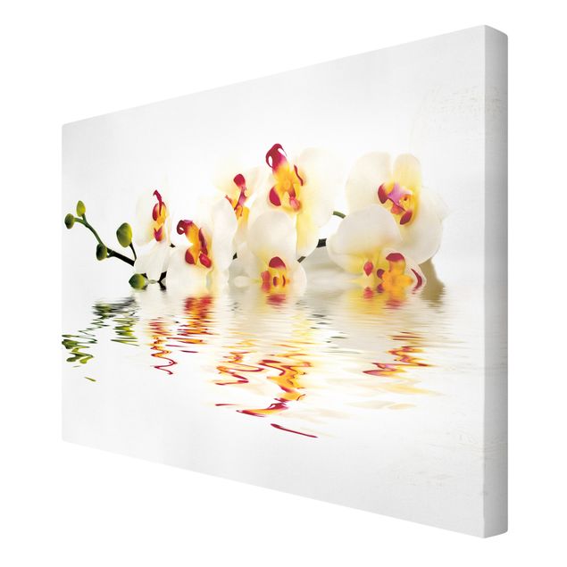 Floral prints Vivid Orchid Waters