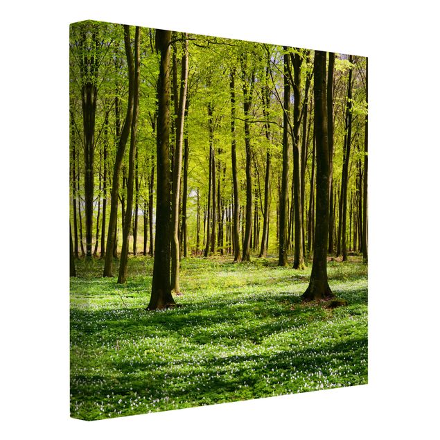 Floral canvas Forest Meadow