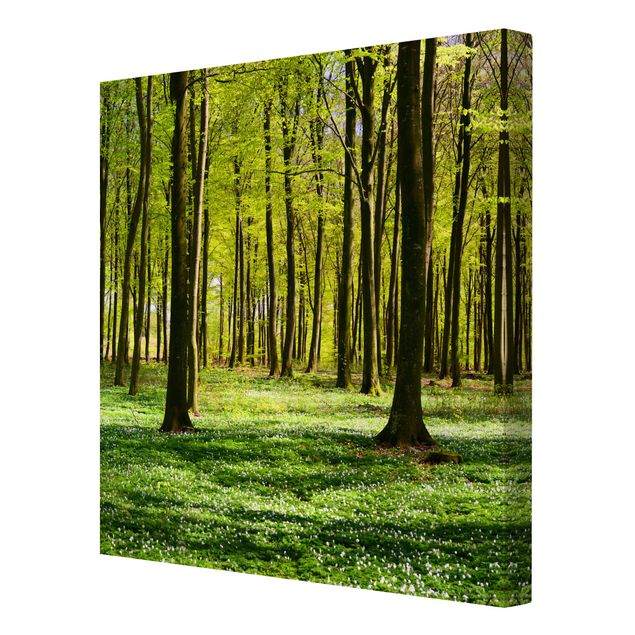 Prints modern Forest Meadow