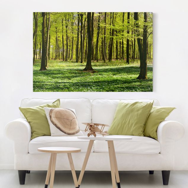 Landscape canvas prints Forest Meadow