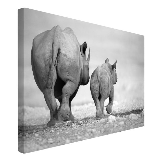 Animal canvas art Wandering Rhinos II