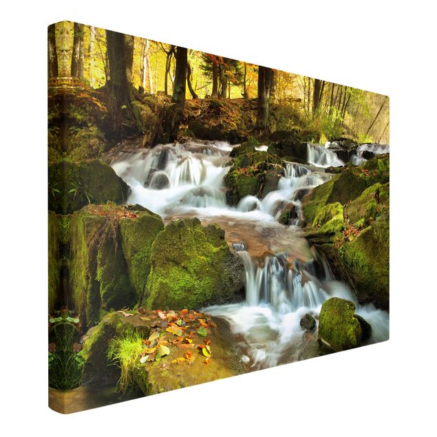 Canvas waterfall Waterfall Autumnal Forest