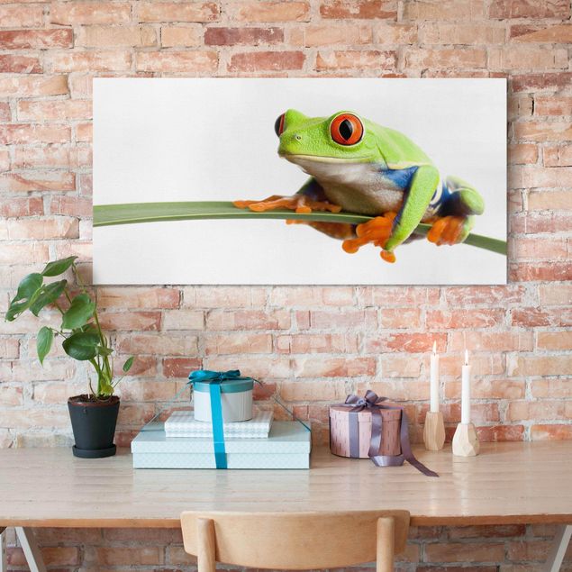 Canvas frog Weatherman