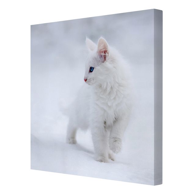 Animal canvas art White as Snow