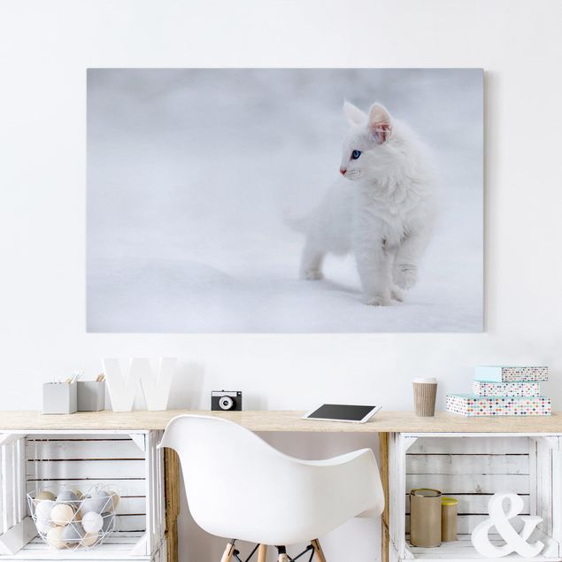 Cat canvas wall art White as Snow