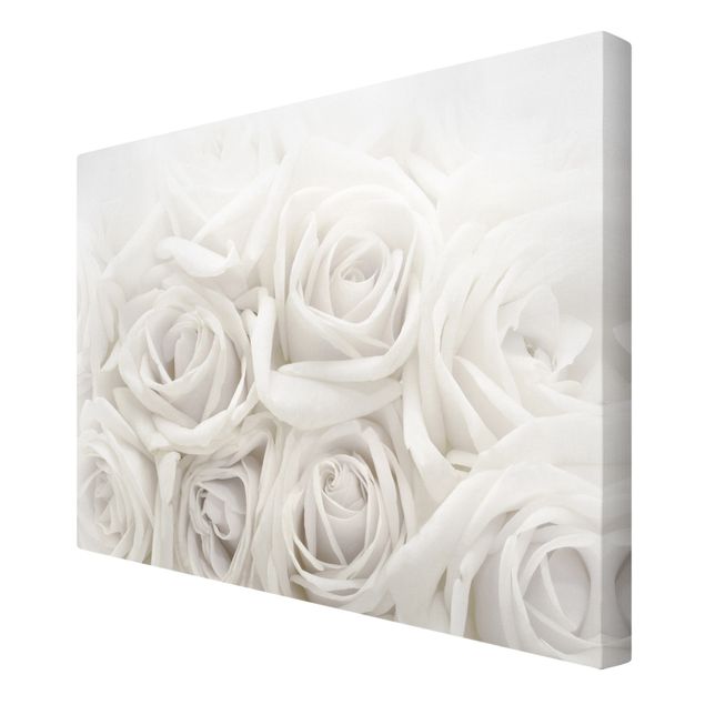 Prints White Roses