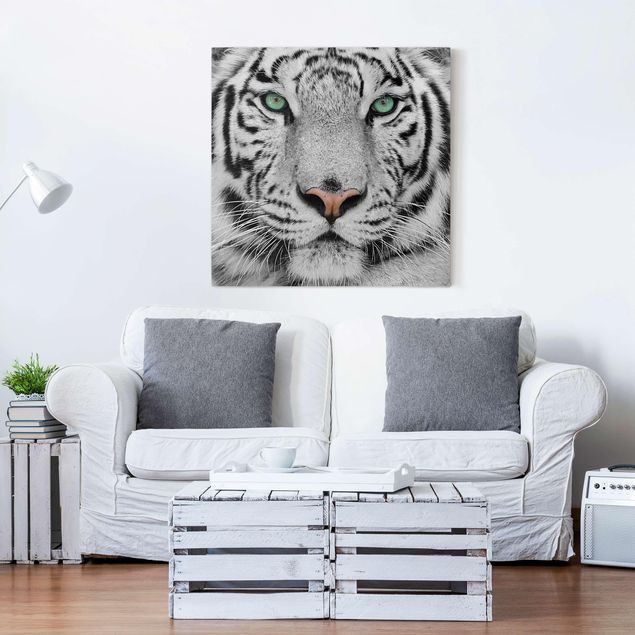 Tiger wall art White Tiger