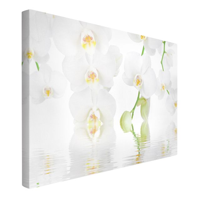 Flower print Spa Orchid - White Orchid