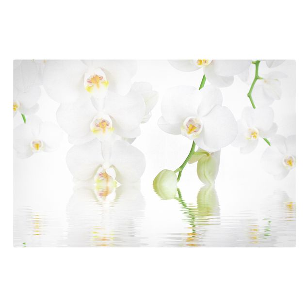 Prints flower Spa Orchid - White Orchid