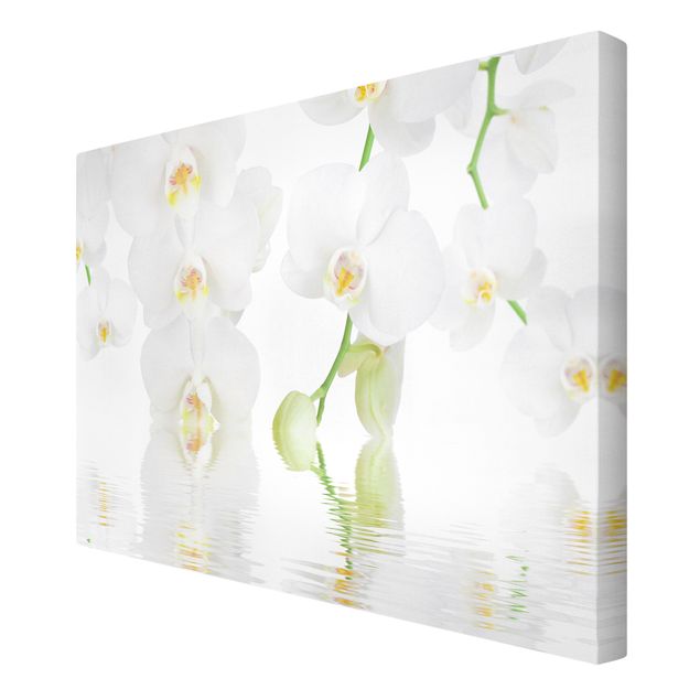 Modern art prints Spa Orchid - White Orchid