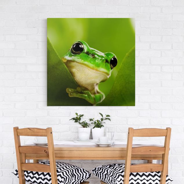 Canvas prints frog Frog