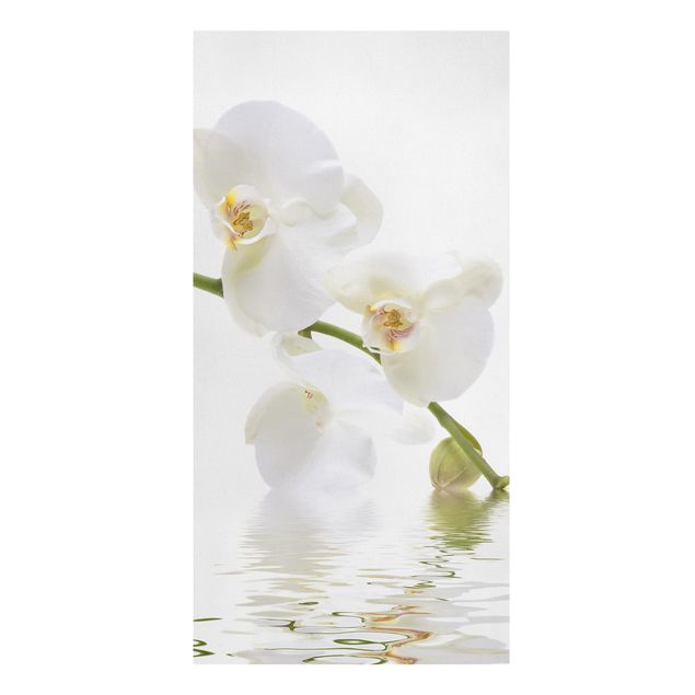 Prints flower White Orchid Waters