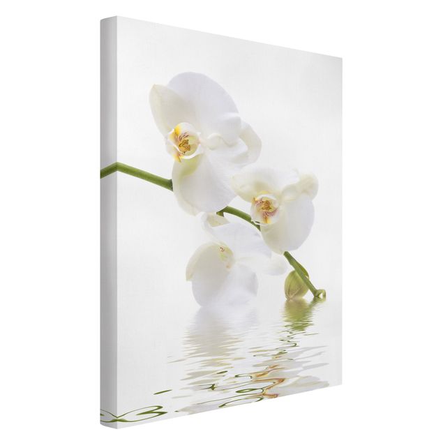 Flower print White Orchid Waters