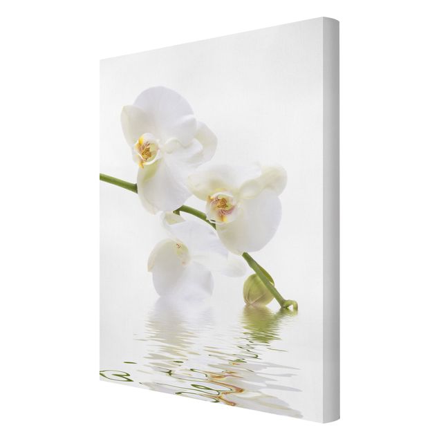 Modern art prints White Orchid Waters