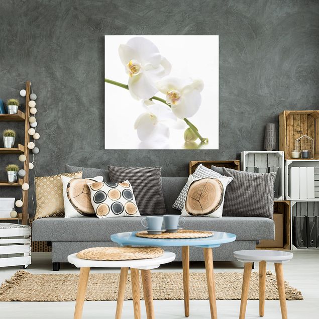Orchid canvas White Orchid Waters