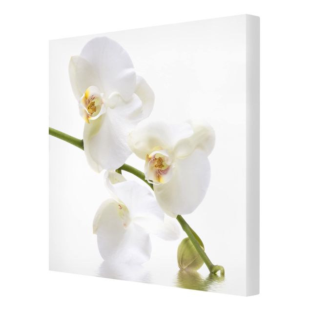 Modern art prints White Orchid Waters