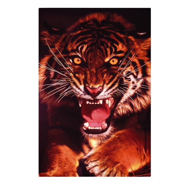 Cat canvas art Wild Tiger