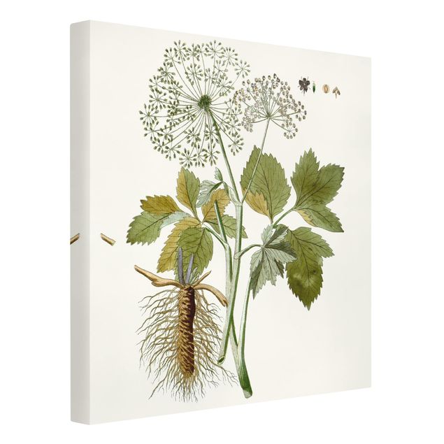 Prints flower Wild Herbs Board IV