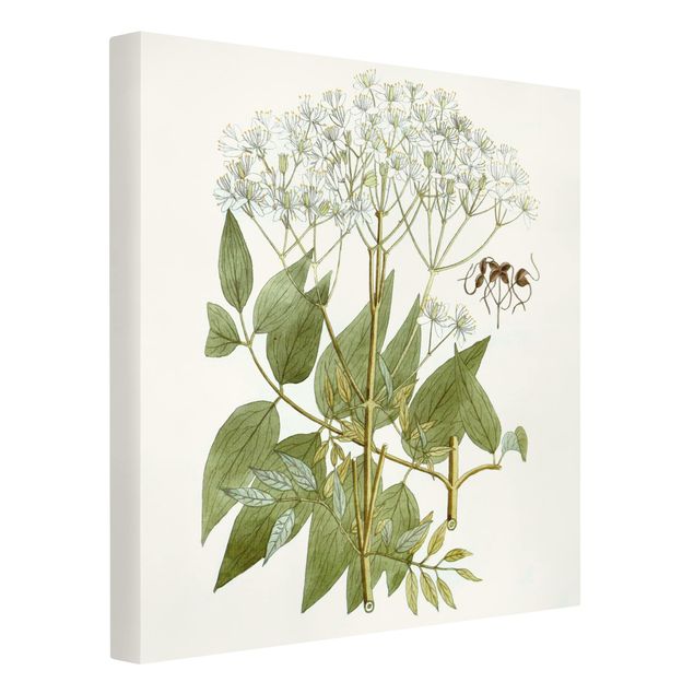 Floral prints Wild Herbs Board V