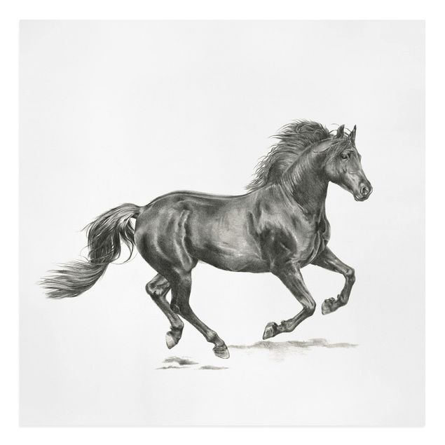 Animal canvas Wild Horse Trial - Stallion