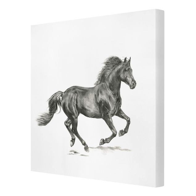 Prints modern Wild Horse Trial - Stallion