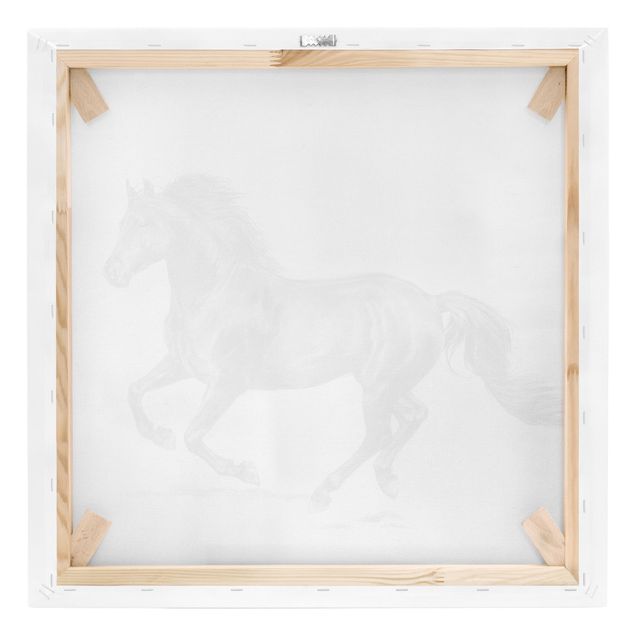 Black and white wall art Wild Horse Trial - Stallion