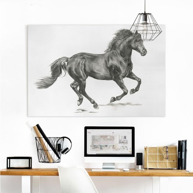 Horse canvas art Wild Horse Trial - Stallion