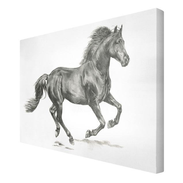 Prints modern Wild Horse Trial - Stallion
